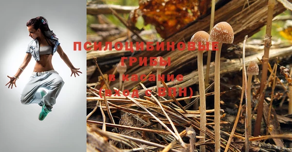 синтетический гашиш Богородицк